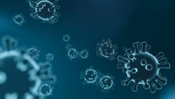virus